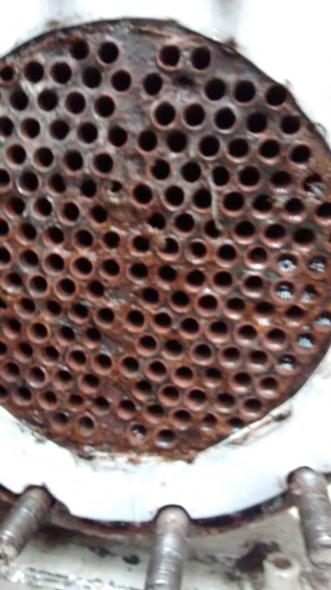 Bio Aquitel — Desincrustante sarro tuberías tinacos y baños